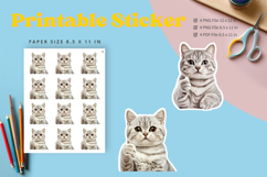 Cat Sticker Printable Funny Cat Meme Sticker Kitty Faces_19 Product Image 1