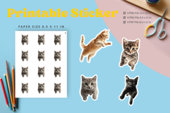 Cat Sticker Printable Funny Cat Meme Sticker Kitty Faces_3 Product Image 1