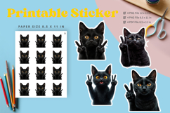 Cat Sticker Printable Funny Cat Meme Sticker Kitty Faces_23 Product Image 1