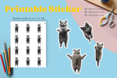 Cat Sticker Printable Funny Cat Meme Sticker Kitty Faces_24 Product Image 1