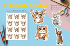 Cat Sticker Printable Funny Cat Meme Sticker Kitty Faces_27 Product Image 1