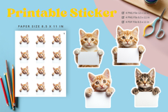 Cat Sticker Printable Funny Cat Meme Sticker Kitty Faces_8 Product Image 1