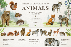 Woodland Animals Product Image 3