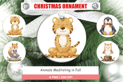 Ornament Fall Meditating Animals Product Image 1