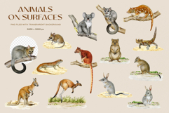 Australia Flora and Fauna Hand Drawn Illustration Set Product Image 7