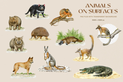 Australia Flora and Fauna Hand Drawn Illustration Set Product Image 8