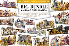 Animals watercolor Sublimation Bundle