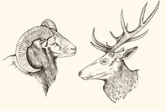 Hand Drawn Portraits of Animals Product Image 2