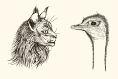 Hand Drawn Portraits of Animals Product Image 4