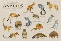 Australia Flora and Fauna Hand Drawn Illustration Set Product Image 2