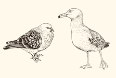 Hand Drawn Animals Product Image 2