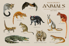 Australia Flora and Fauna Hand Drawn Illustration Set Product Image 3