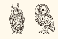 Hand Drawn Animals Product Image 4
