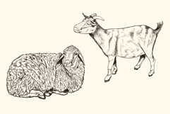 Hand Drawn Animals Product Image 5
