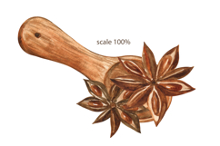 Star Anise Watercolor Clip Art and Cozy Pattern Product Image 4