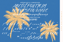 Ankara Stream - Modern Handbrush Script Product Image 18