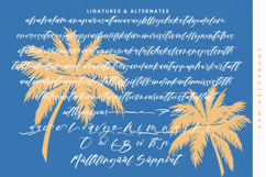 Ankara Stream - Modern Handbrush Script Product Image 19