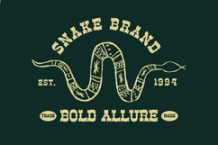 Ankara Trave - Vintage Display Typeface Font Product Image 5