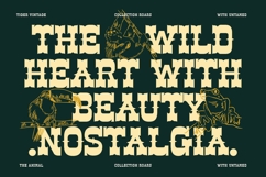 Ankara Trave - Vintage Display Typeface Font Product Image 7