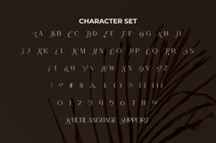 Annandale Font Product Image 6