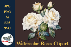 Ivory White Watercolor Roses Clipart EPS, SVG, PNG Set Product Image 1