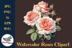Soft Peach Watercolor Roses Clipart SVG, EPS, PNG Set Product Image 1