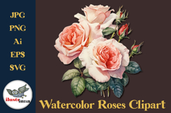 Peach Blush Watercolor Roses Clipart EPS, SVG, PNG Set Product Image 1