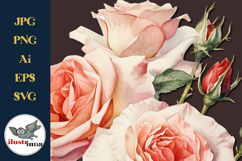 Peach Blush Watercolor Roses Clipart EPS, SVG, PNG Set Product Image 2