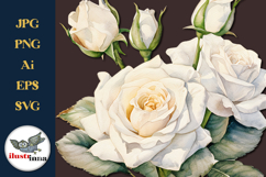 White Watercolor Roses Clipart EPS, SVG, PNG Set Product Image 2