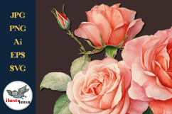 Coral Peach Watercolor Roses Clipart EPS, SVG, PNG Set Product Image 2