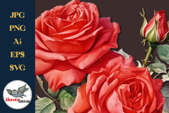 Classic Red Watercolor Roses Clipart SVG, EPS, PNG Set Product Image 2