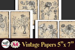 Vintage Botanical Engravings A4 Junk Journal Kit Product Image 3
