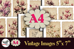 Vintage Magnolia Floral 5x7 Journal Pages Kit A4 Product Image 1