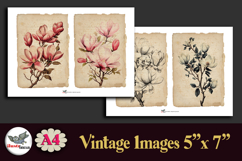 Vintage Magnolia Botanical 5x7 Printable A4 Journal Kit Product Image 2