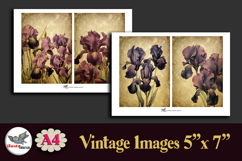 Vintage Iris Flowers 5x7 Junk Journal Papers Kit A4 Product Image 2