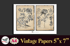Vintage Botanical Engravings A4 Junk Journal Kit Product Image 4