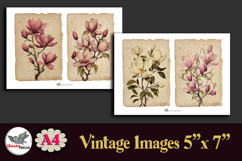 Vintage Magnolia Floral 5x7 Journal Pages Kit A4 Product Image 3