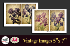 Vintage Iris Flowers 5x7 Junk Journal Papers Kit A4 Product Image 3
