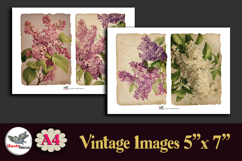 Vintage Lilac Flowers 5x7 Printable Kit A4 Product Image 3