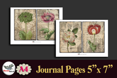 Vintage Botanical Journal Pages Printable Kit A4 Product Image 3