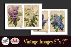 Vintage Lilac Flowers Printable Kit 5x7 A4 Product Image 3