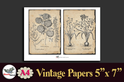 Vintage Botanical Engravings A4 Junk Journal Kit Product Image 5