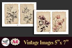 Vintage Magnolia Floral 5x7 Journal Pages Kit A4 Product Image 4