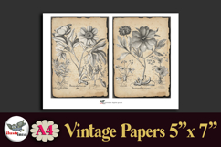 Vintage Botanical Engravings A4 Junk Journal Kit Product Image 2