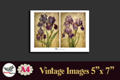 Vintage Iris Flowers 5x7 Junk Journal Papers Kit A4 Product Image 4