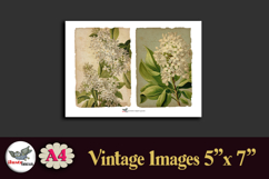 Vintage Lilac Flowers 5x7 Printable Kit A4 Product Image 4