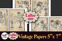 Vintage Botanical Engravings Letter-size Journal Papers Kit Product Image 1