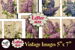 Vintage Lilac Flowers 5x7 Printable Kit Letter Size Product Image 1