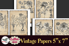 Vintage Botanical Engravings Letter-size Journal Papers Kit Product Image 2