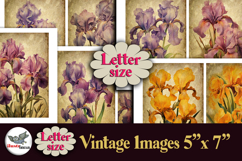 Vintage Iris Flowers 5x7 Printable Kit Letter Size Product Image 1